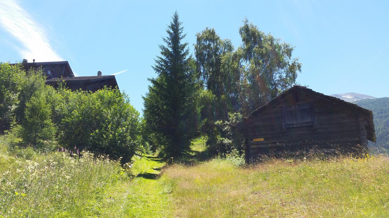 Chalet Bergmann Bürchen Esterno foto