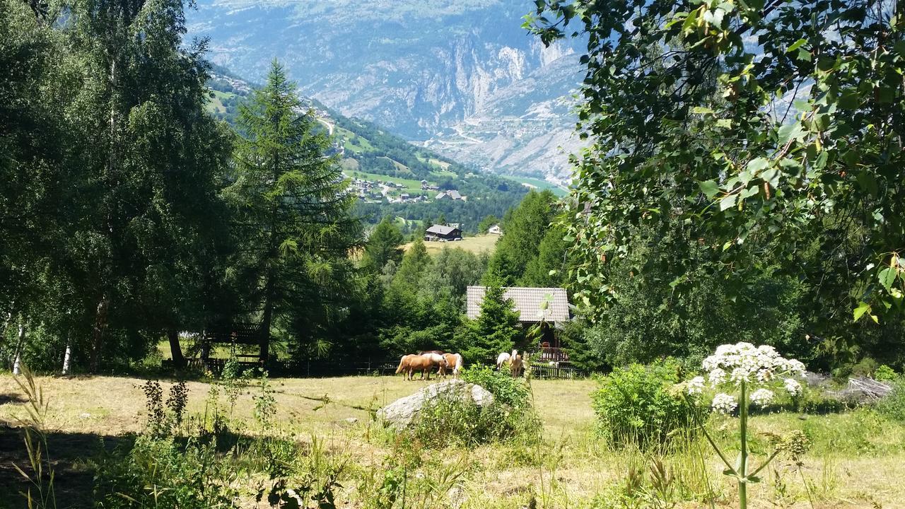 Chalet Bergmann Bürchen Esterno foto