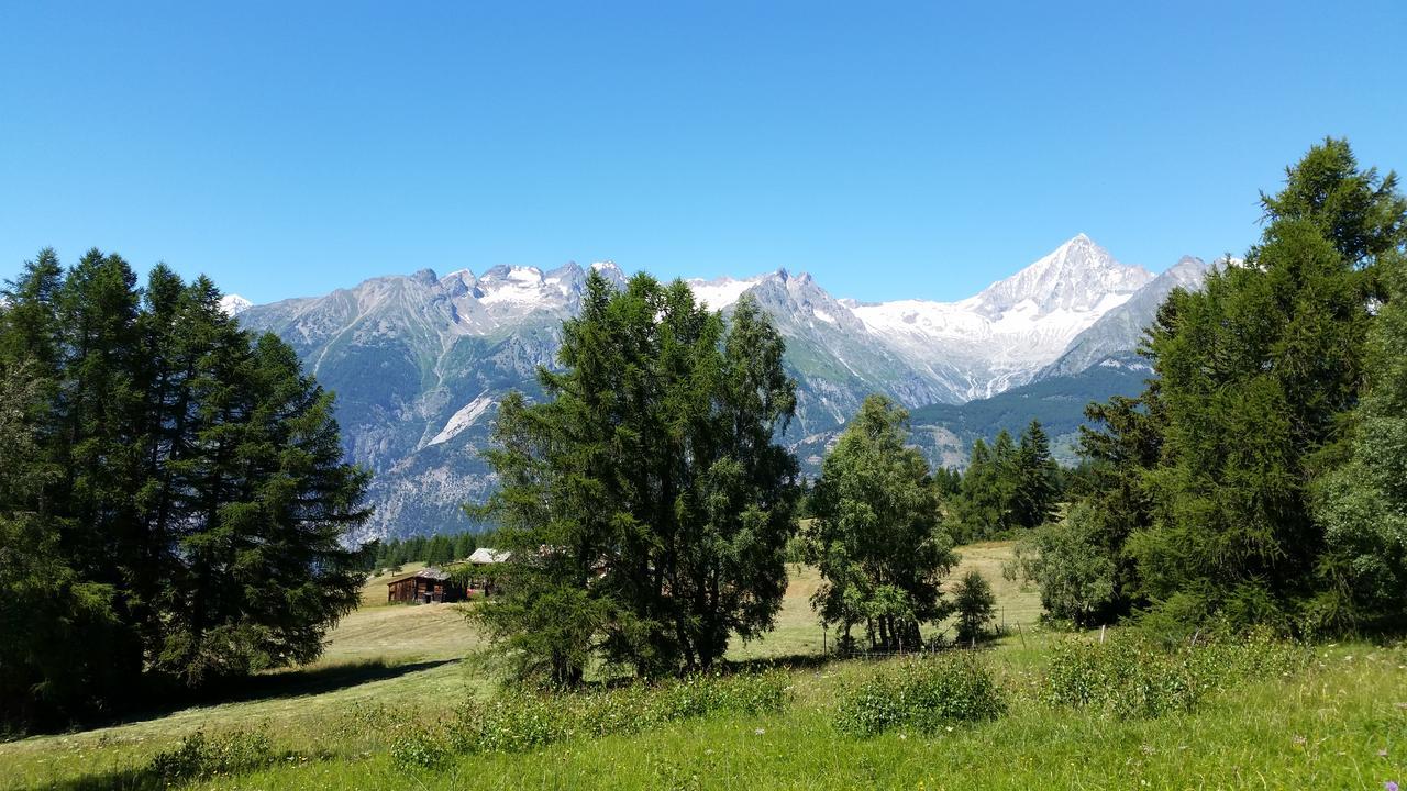 Chalet Bergmann Bürchen Esterno foto