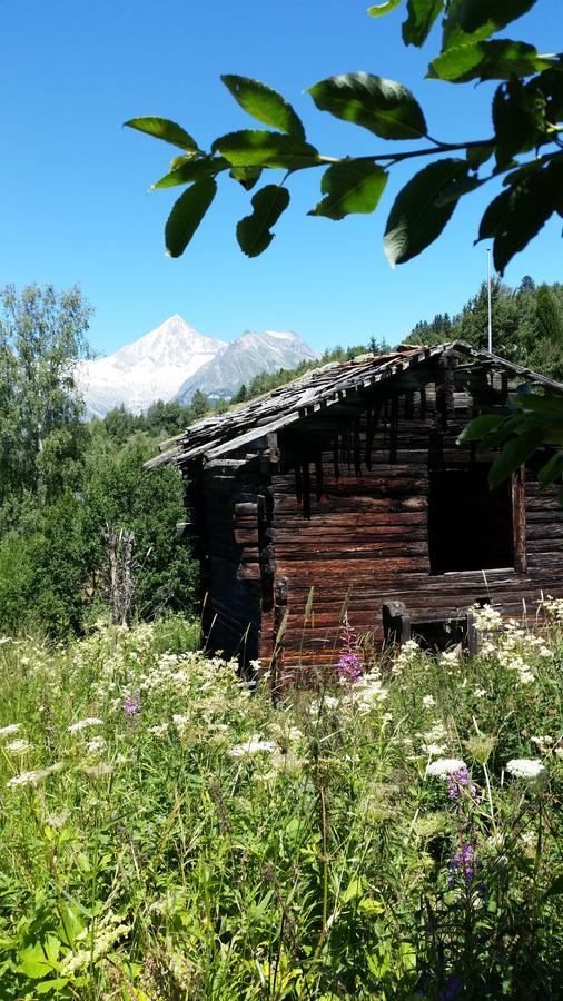 Chalet Bergmann Bürchen Esterno foto