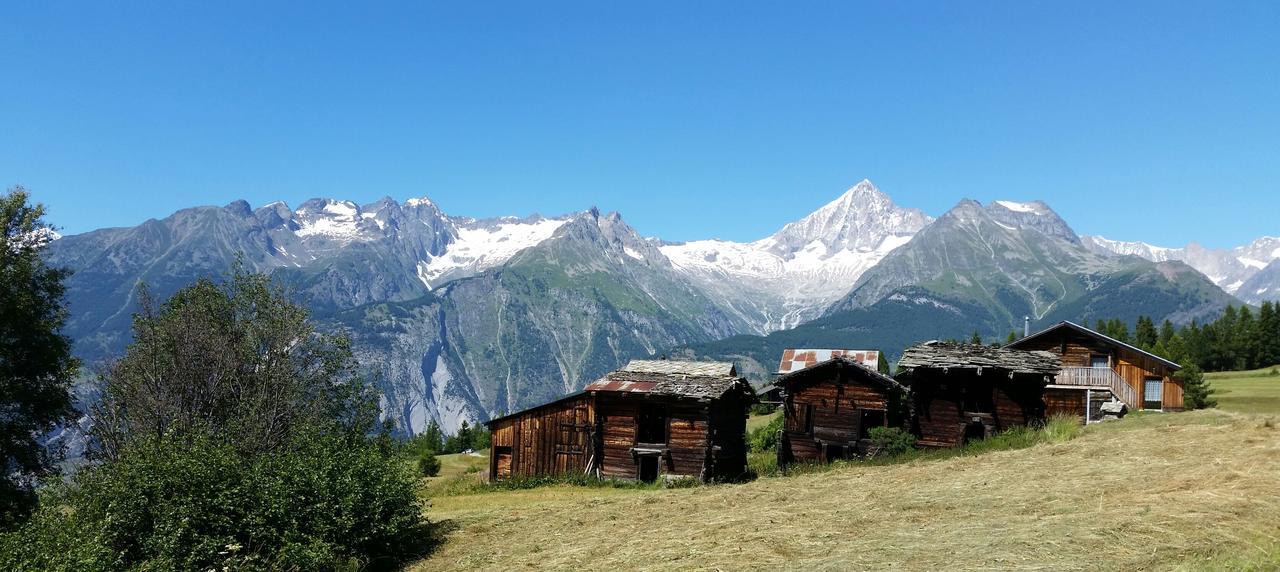 Chalet Bergmann Bürchen Esterno foto