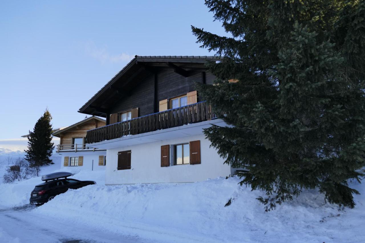 Chalet Bergmann Bürchen Esterno foto